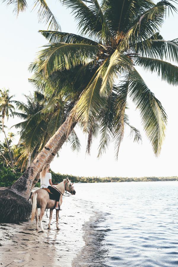 Soultribe Beach Retreat جنرال لونا المظهر الخارجي الصورة